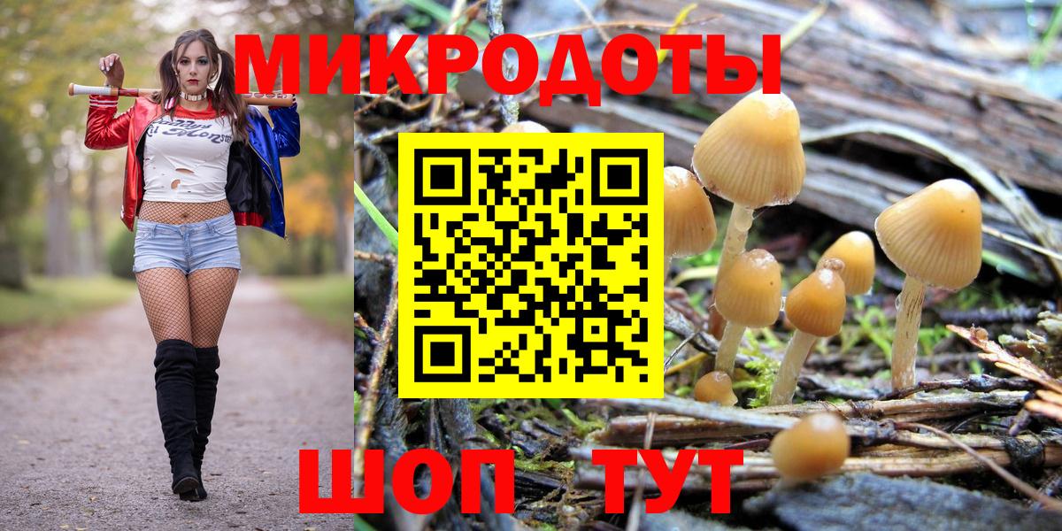 Псилоцибиновые грибы Psilocybine cubensis Ишимбай
