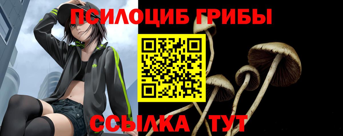 Ишимбай  магазин    Вход с VPN  Псилоцибиновые грибы GOLDEN TEACHER 